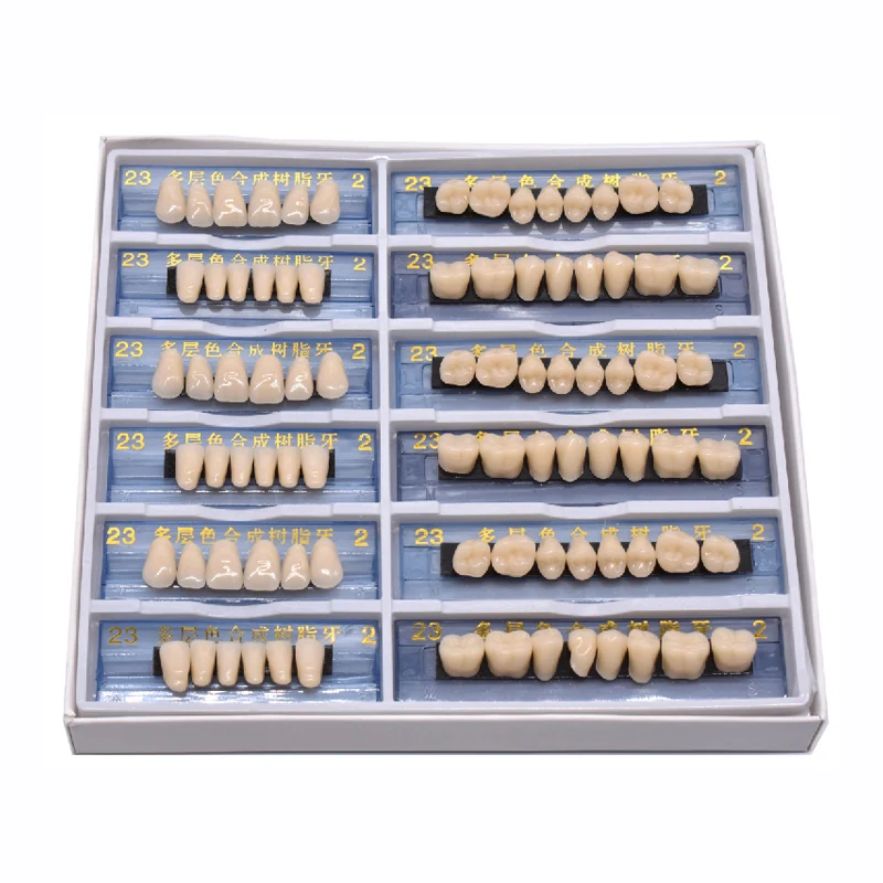 

2 layer 168/84pcs Acrylic Resin Denture Dental Teeth Upper Lower Shade 23 A2 Oral Care Whitening Tooth Model Dental Materials