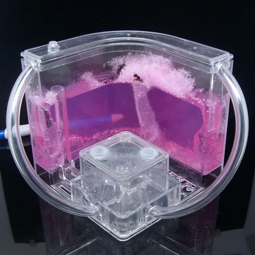 ant-house (9)
