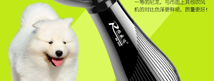 Мульти электрический фен для домашних питомцев Pet Store профессиональная водяная машина собачья шерсть воздуходувка фен высокой мощности Mute Teddy Cats сушилка
