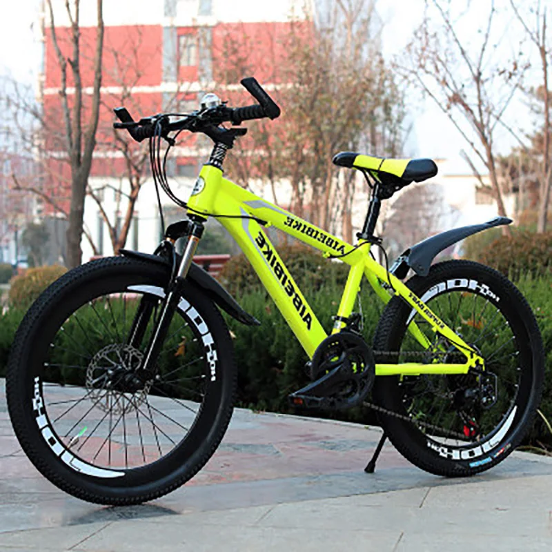 Top Mountain Bike Students Adult Speed Change Two-Disc Brake Shock Absorber 20-Inch Mountain Bike 5