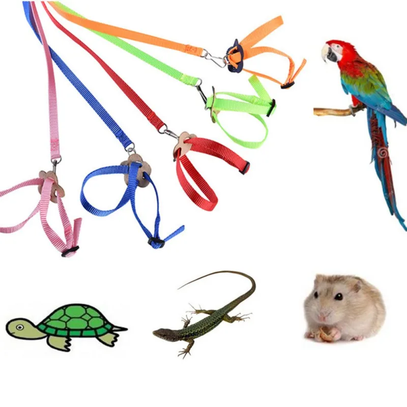 Pet Parrot Traction Strap Pet Anti-bite Training Rope Outdoor Rope Pet Leash Adjustable Bird Harness For Hamster, Lizard