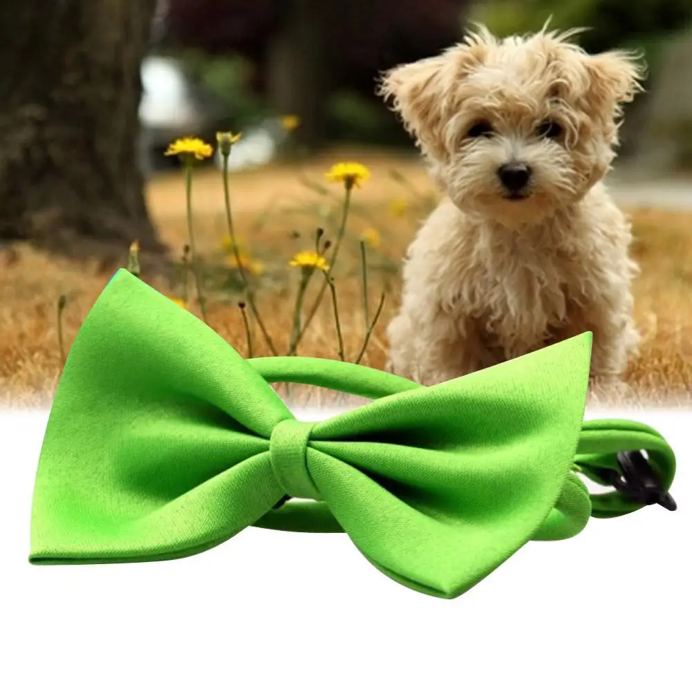 Jilin Solid Color Pet Fashion Beret Cat Dog Warm Cute Hood All-Match Headpiece