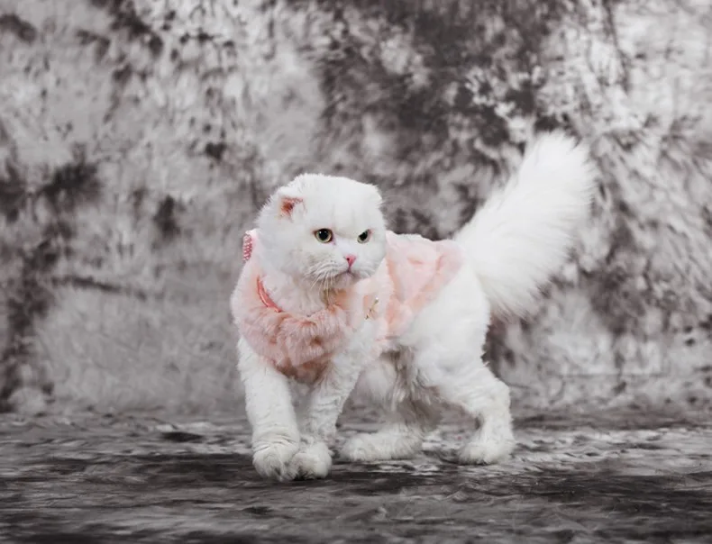 HOOPET Pet Clothes Elegant Luxury Fur Winter Overcoat Small Dog Cat Clothes Bowknot Chihuahua