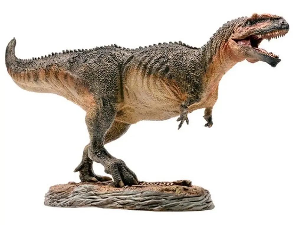 

PNSO Giganotosaurus Dinosaur Models in Museum Collection 1:35 Free Shipping