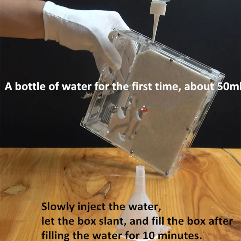 New Ant Workshop Ecological Ant Nest Ant Castle Bow Back Ants Acrylic Sand Nest Sandcastle Home Living Ants (3)