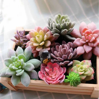 

Artificial Succulent Simulation Plants Fake Aloe Cactus Landscape Lotus Flower DIY Faux Flower Creative DIY Accessories