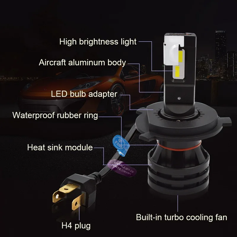 LHL-M2-H4(11)