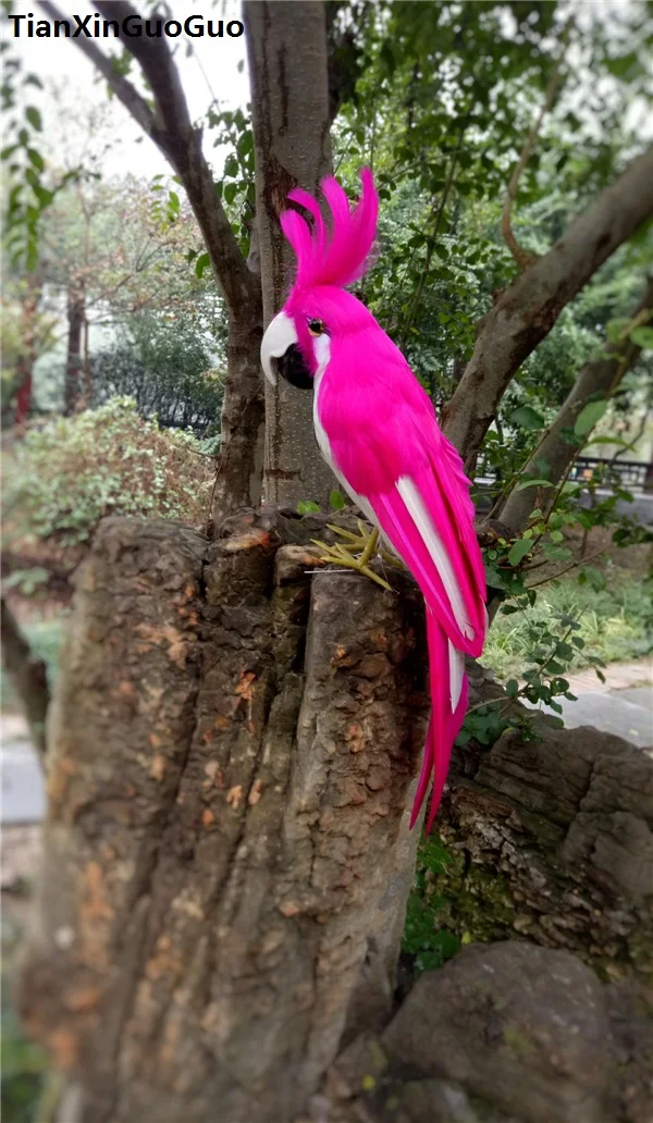 

hot pink feathers cockatoo parrot prop,simulation parrot about 30cm bird hard model handicraft,home garden decoration gift s0298