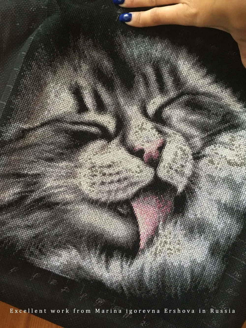 counted cross stitch kit black kitty cat kitten licking fur, lick fur feet