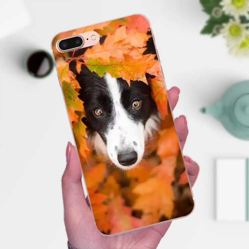 Аксессуары для телефона Border Collie Dog Breed чехол Huawei P8 P9 P10 P20 P30 Mate 7 8 9 10 20 Lite Plus Pro
