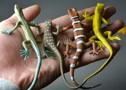 Flawly 5 шт./компл. животных модель игрушки запаха среды дикой природы моделирование Gecko Ящерица Хамелеон ящерица модель рис игрушки