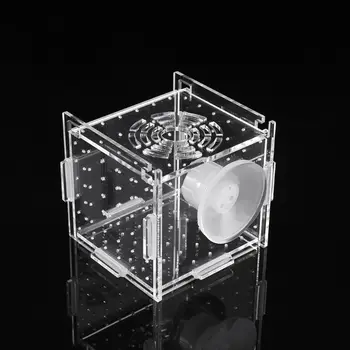 

Aquarium Fish Breeding Isolation Box Baby Fish Incubator Hatch Breeder Fish Tank
