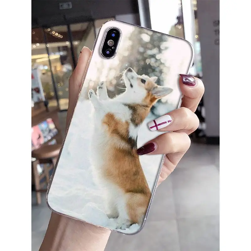 Умный прозрачный мягкий чехол для телефона Babaite Jack Russell Terrier Dog iPhone 8 7 6 6S Plus 5 5S SE XR X XS