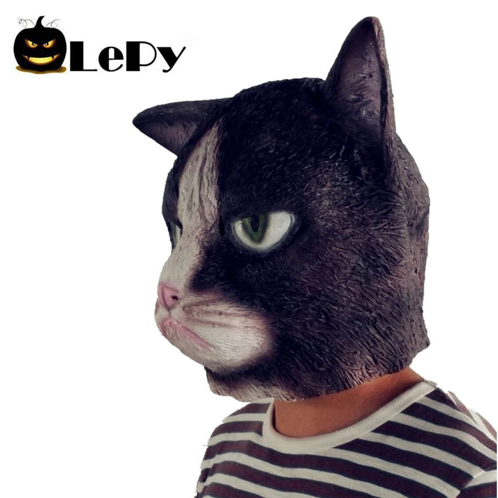 амерте головного мозга. кат головы. кат головы. кт головного мозга. компьютерная томография мозга (кт).