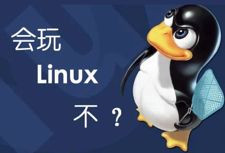 叒一个!一键全自动 DD 安装 Windows系统