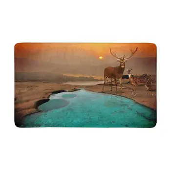 

Landscape Sundown Deer Front Door Mat Welcome Doormat Home, Indoor, Entrance, Kitchen, Patio