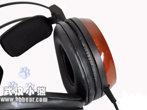 W1000X (1)