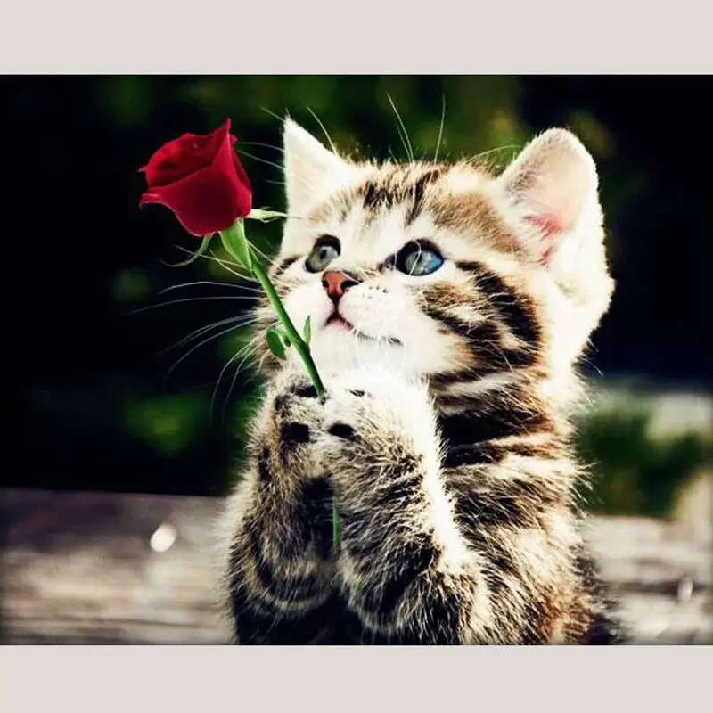 Diy Needlework Diamond Painting Cross Stitch Lovely Cat Rose Children