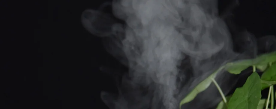 air humidifier ultrasonic (27)