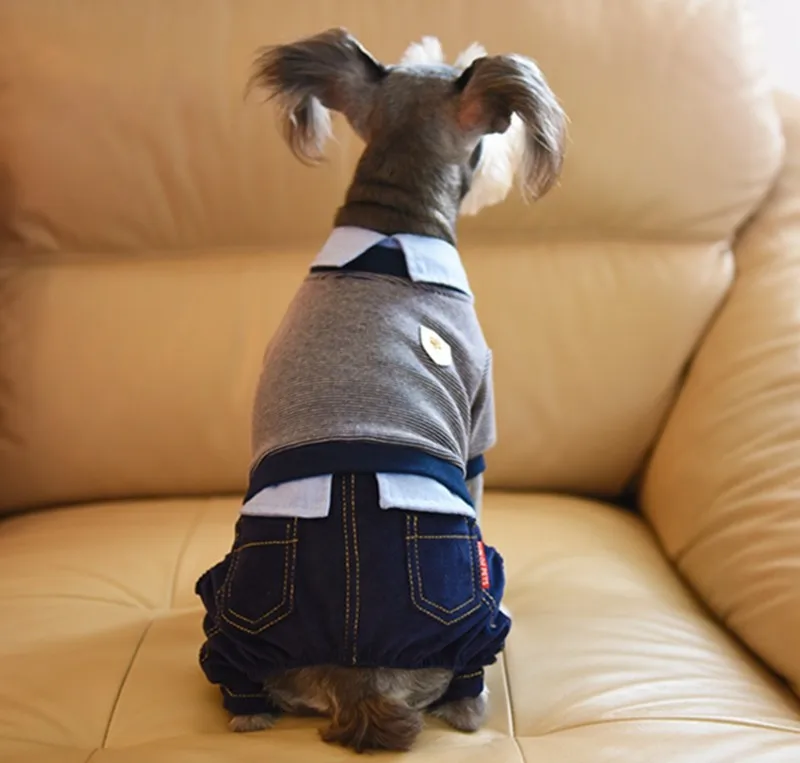 Осенняя/зимняя одежда красивый стиль высокого качества вельветовый воротник значки рубашка в тонкую полоску "пинстрайп" поддельные две части домашних собак