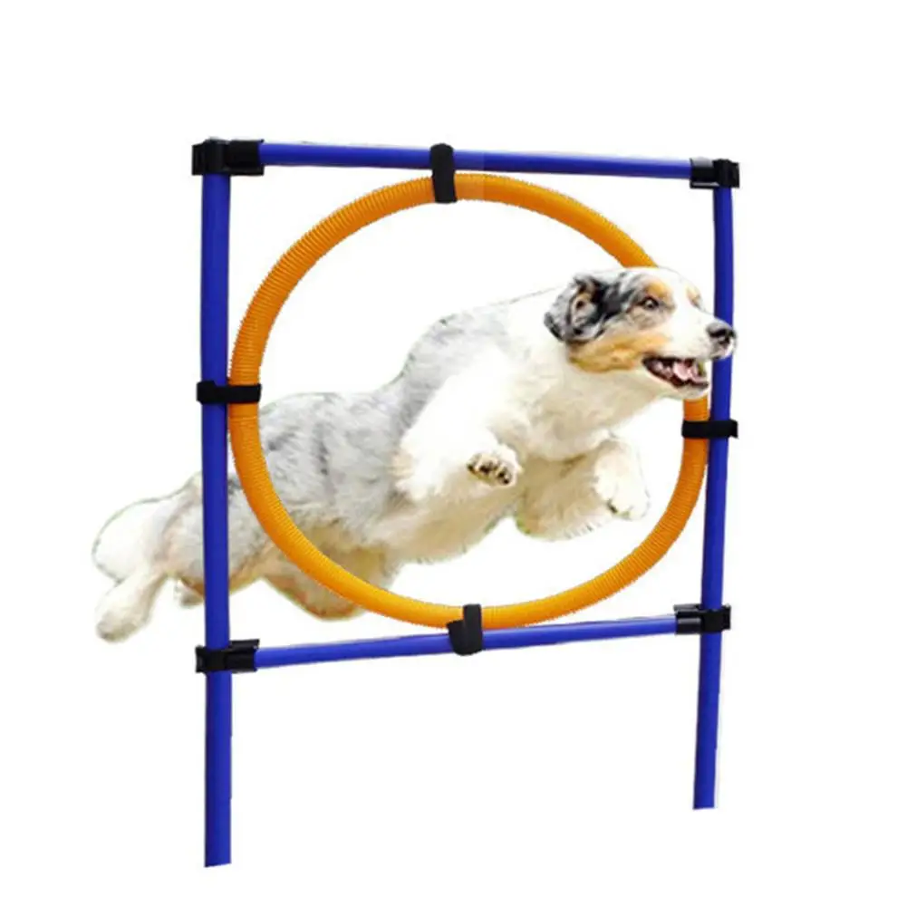 Pet Dog Jumping Training Pet Sports Equipment Dog Training Toys Dogs