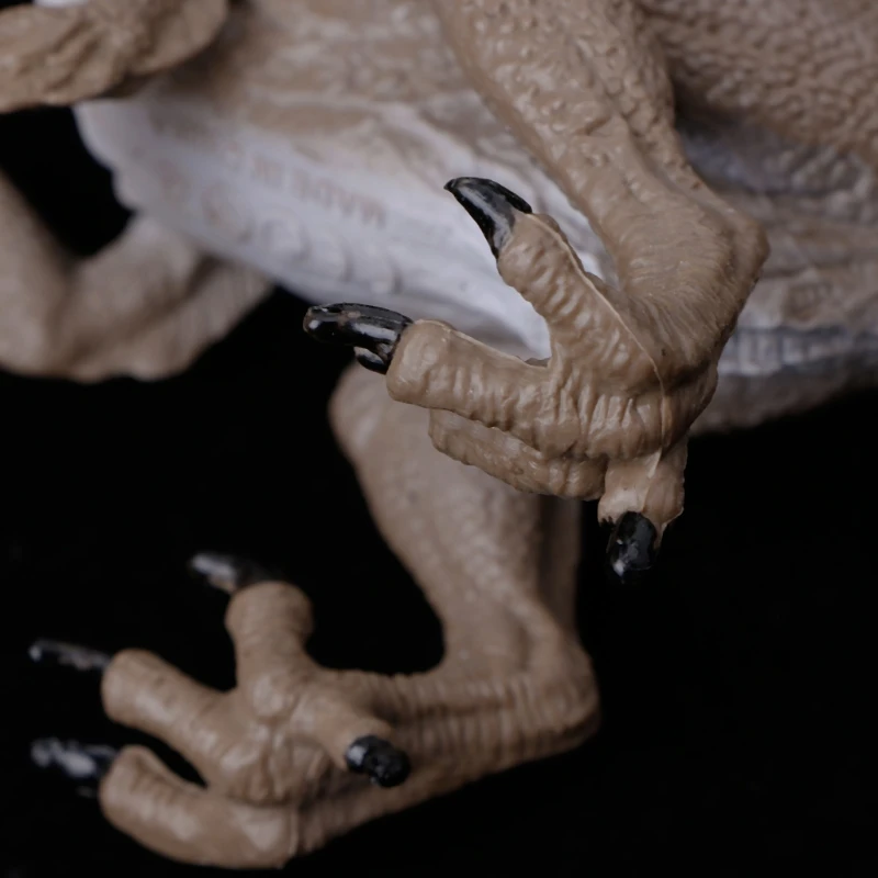 5A61311-8