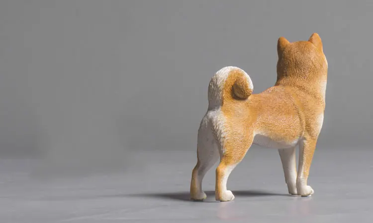 未标题-10