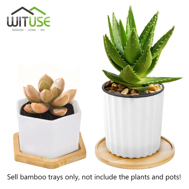 WITUSE Boutique Simple Home Square Tray Bamboo Flower Pot Tray Flower Pot Bonsai Flower Pots Water Tray Gardening Accessories