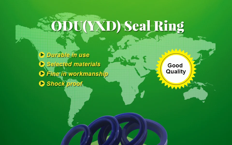 ODU OIL SEAL (1)