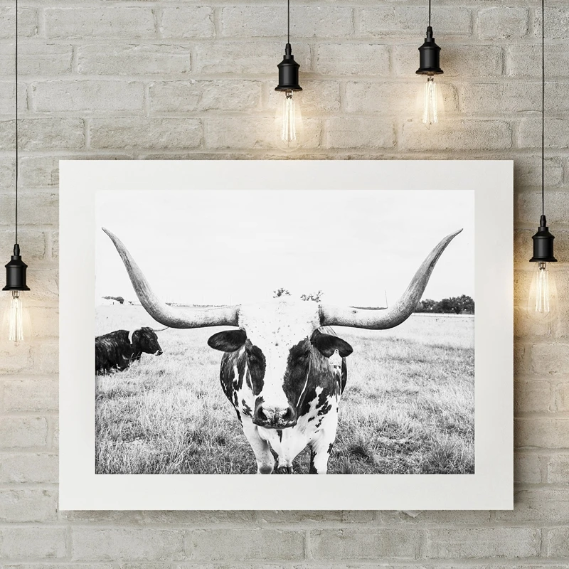 longhorn canvas painting