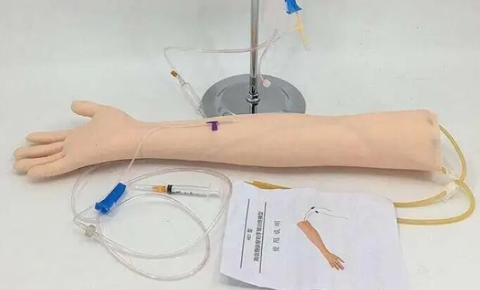 Усовершенствованная тренировочная модель для рук venipuncture включает в себя поддержку инфузий