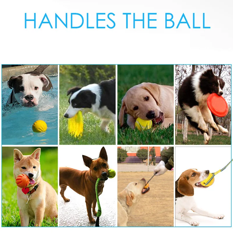 الكلب لعب المطاط إحضار القرص الطائر الحيوانات الأليفة التدريب الكرة مع حبل جلب تحلق أقراص مضغ لعبة الحيوانات الأليفة لعبة للكلاب جرو الكلب لعب المطاط إحضار القرص الطائر الحيوانات الأليفة التدريب الكرة مع حبل جلب تحلق أقراص مضغ لعبة الحيوانات الأليفة لعبة للكلاب جرو
