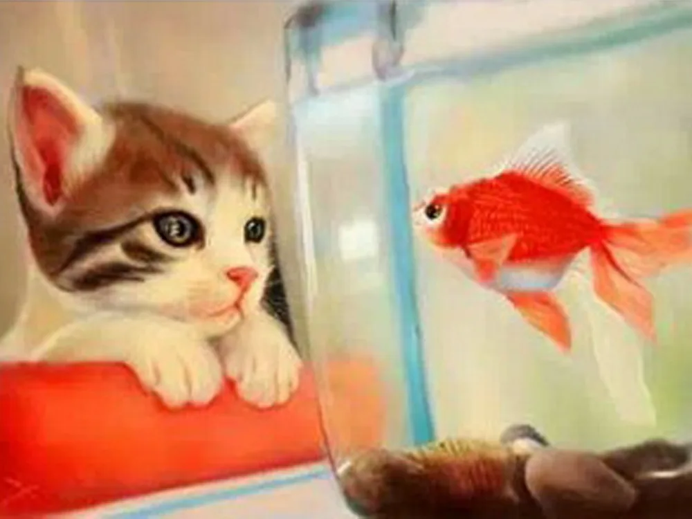 

needlework diamond embroidery Fish cat full rhinestones mosaic pictures crafts square drill diamond embroidered stitch animals