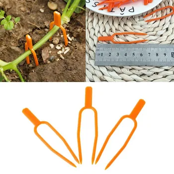 

100pcs/lot Tomato Veggie Garden Plant Support Clips For Garden Greenhouse Plants Vegetables Fixed Fork Plant Support Tools 0624#