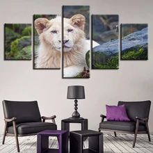 Холст Картины Wall Art Home Decor 5 штук Тигр Лев Олень Сова лошадь
