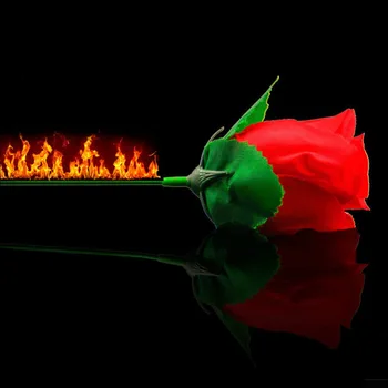 Картинка 2018 Фокус своих факел розы сцены умение Показать Комплект для магический реквизит