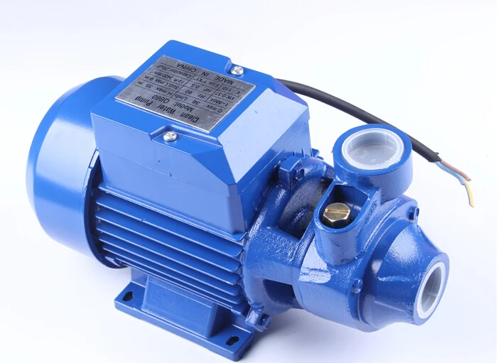 QB60 Electric Clean Water Pump Working On 220 volts or 110 voltsin