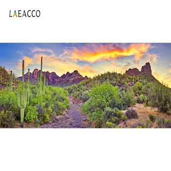 

Laeacco Plant Desert Cactus Nature Photography Backgrounds Backdrop Customized Photographic Backdrops Decor For Photo Studio