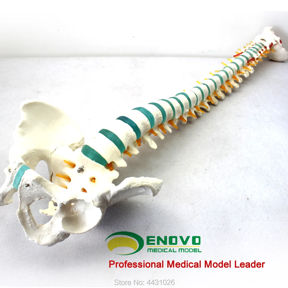 lenovo-整形外科用マザーボード整形外科整形外科整形外科用モデル