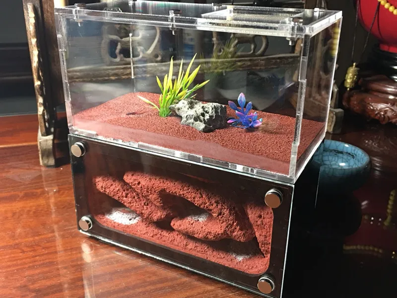 14*7*7cm Ant Nest Acrylic insect Box Two Bedroom Ant Workshop Bubble Nest Pet Cages Ant farm feedin - 32923924097