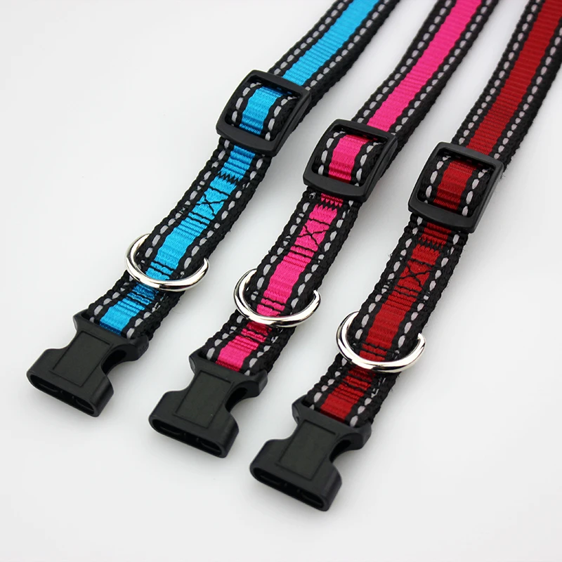 dog collar 3