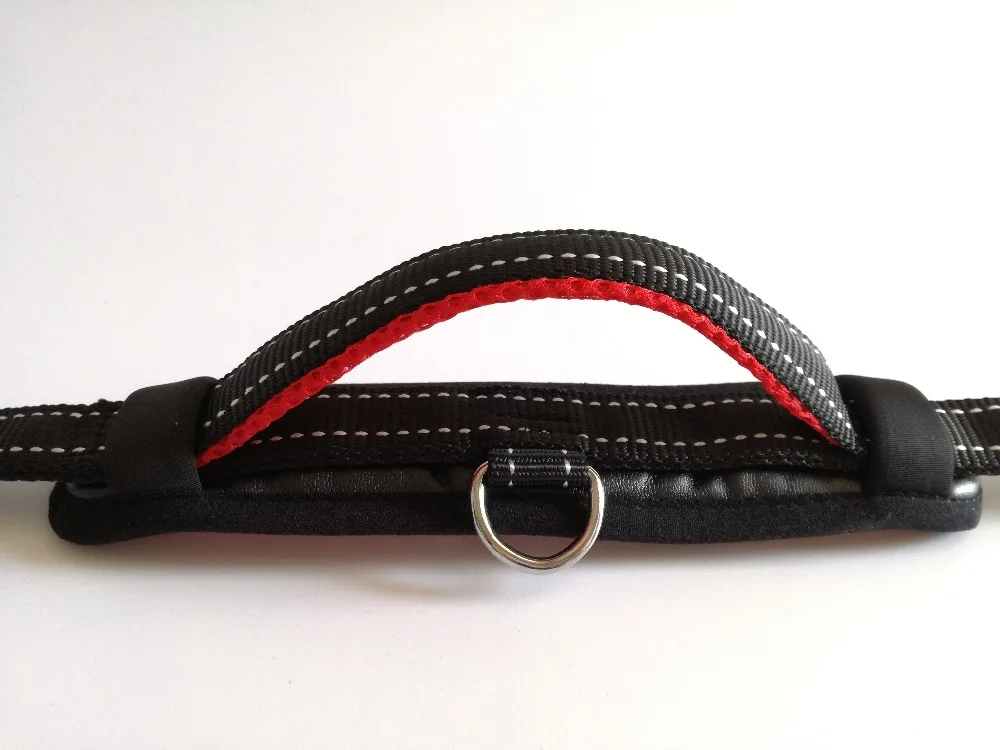 Dog Collar and Leash Set (9)