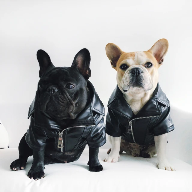[MPK Dog Winter Wear] Cool Looking Dog Jacket, Flannel Soft Woven Fabric on the inside, Polyurethane Leather on the outside 5