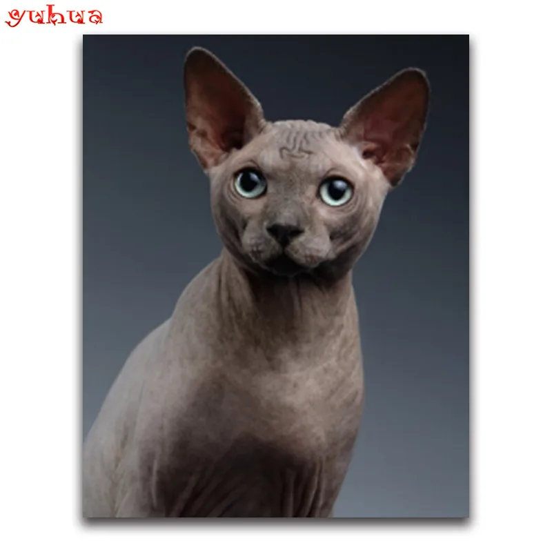 Round Diamond embroidery dierlijk Full Square Diamond mosaic paintings 5D DIY Diamond painting Cross stitch Animal colorful Cats_