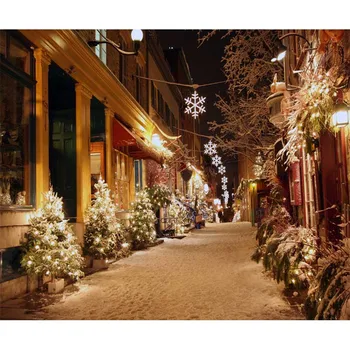 

300X300cm Fancy snowing trees street Customized computer Printed vinyl photography background for photo studio