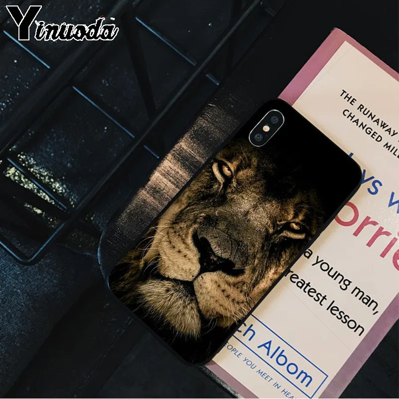 Animals The lion