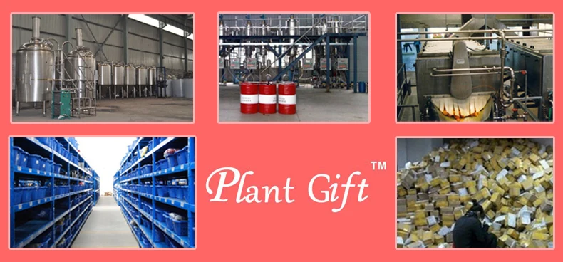 100% Compound Essential Oil Anti-impotence Essence Oil Enhance Sexual Ability Jasmine, Ginger Oil Man Maintenance 19