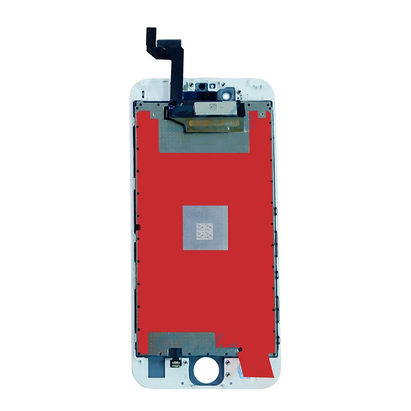 6s (3)