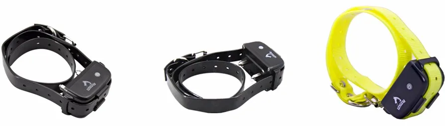 2_Dogs_Training_Collar_018