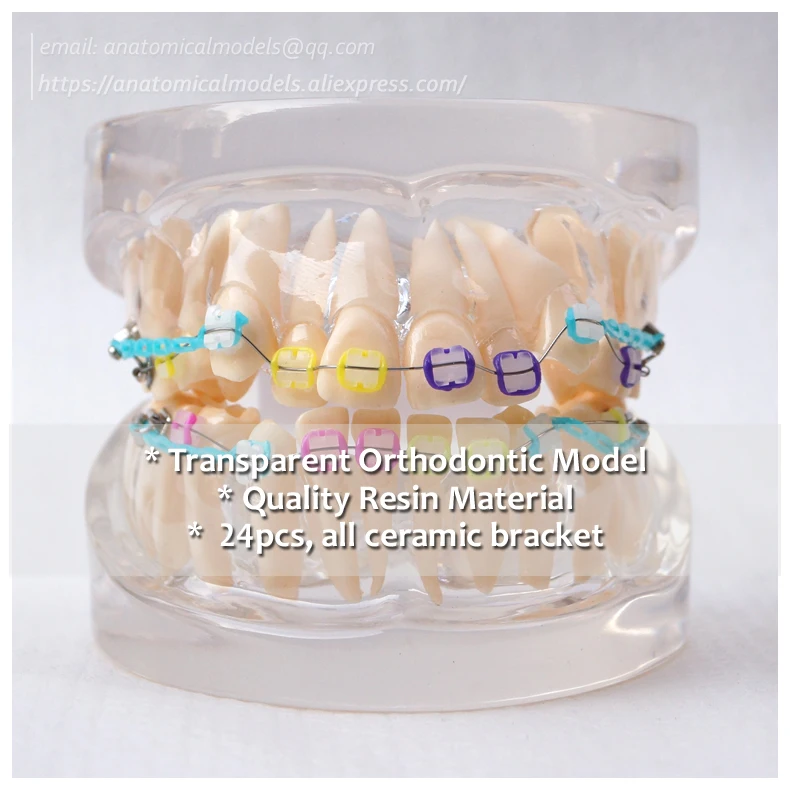 13025 DH202-3 Ortho Ceramic Bracket